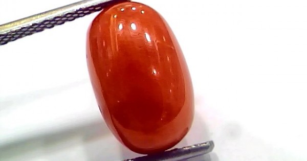 Japanese red coral sale stone price